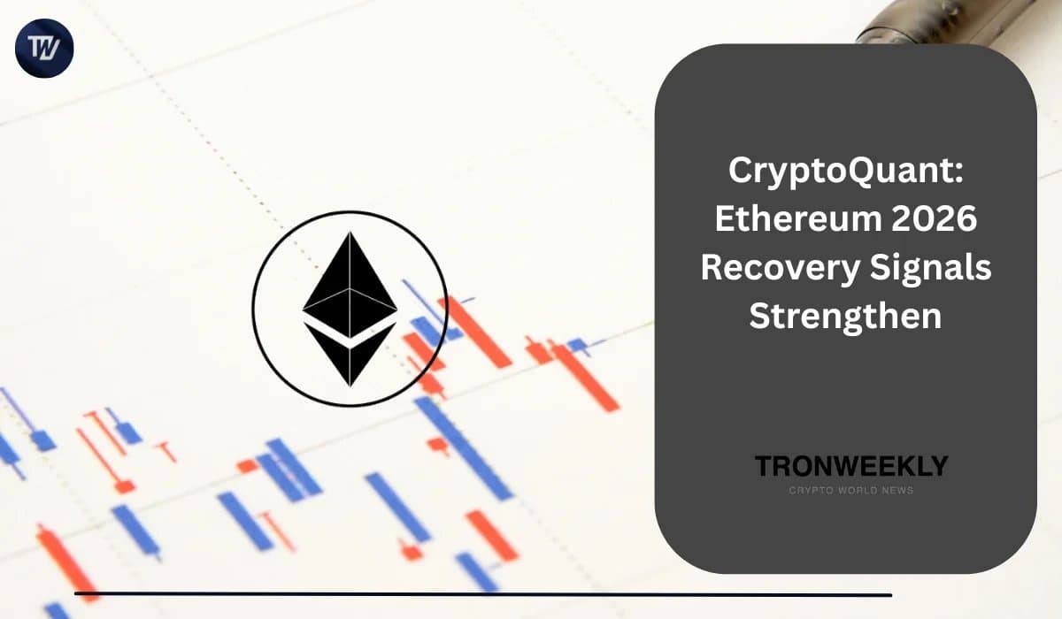 Ethereum Shows Signs of Recovery as Price Dips Below Holder Cost Basis