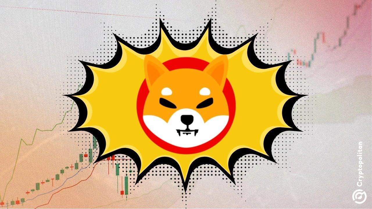 Shiba Inu price forecast for 2026 to 2032