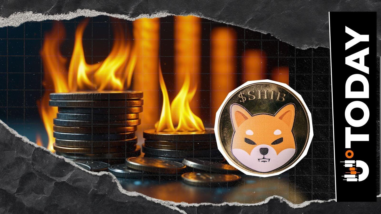 Shiba Inu Experiences Significant Drop in Burn Rate to $13