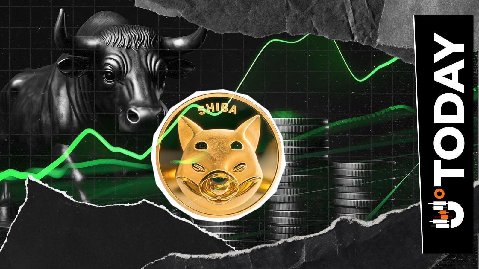 Significant Increase in Shiba Inu Exchange Activity Signals Bullish Trend