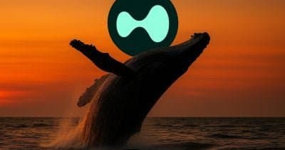 Whales Initiate Long Positions on Hyperliquid's $HYPE Token