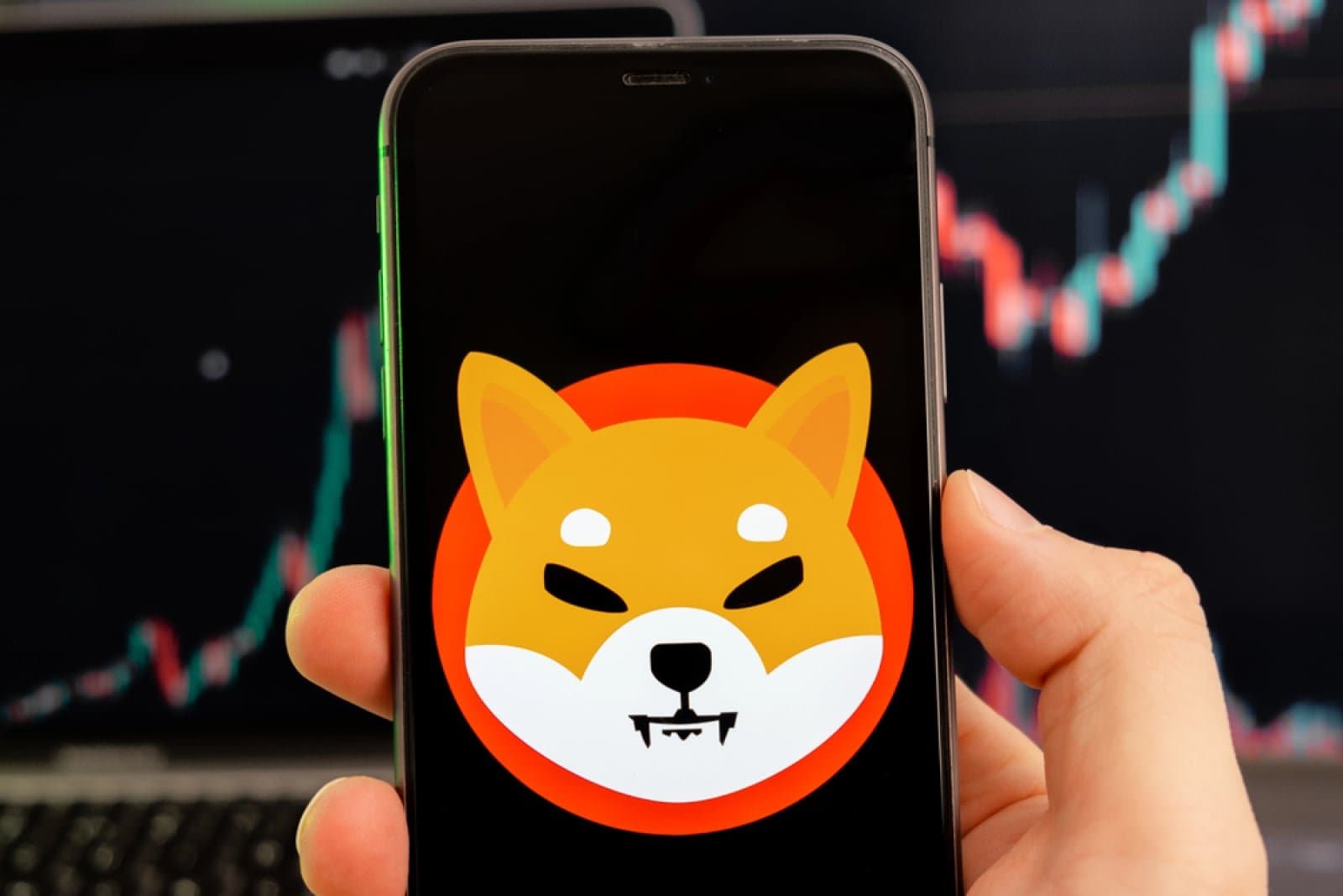 Shiba Inu rejected at key resistance, bearish pullback taking hold