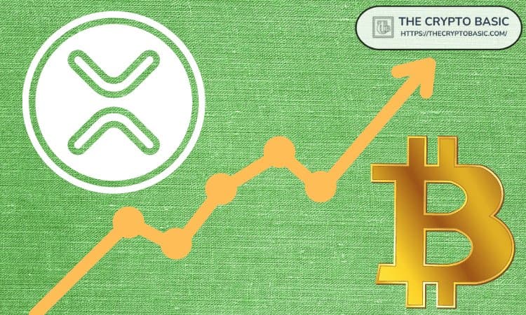 XRP Tops All Major Cryptos in Average Transaction Value, Surpassing Bitcoin and Ethereum