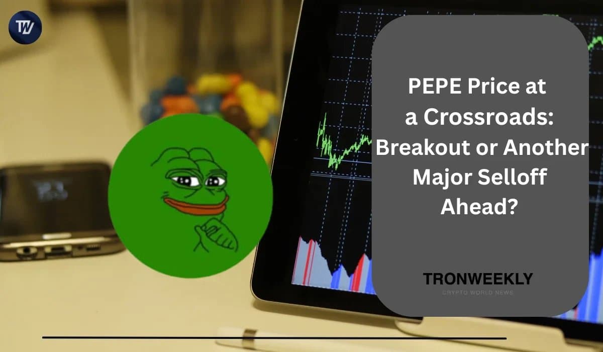 PEPE Faces Key Decision Point: Potential Recovery or Continued Decline
