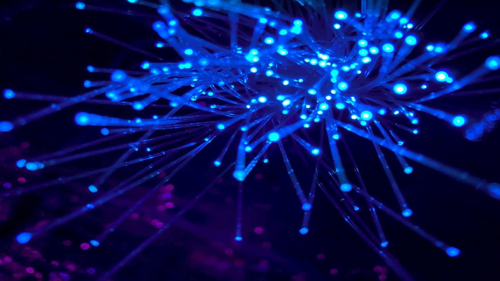 Crypto Payments to Ditch On-Ramps and Bridges, Says Fun CEO