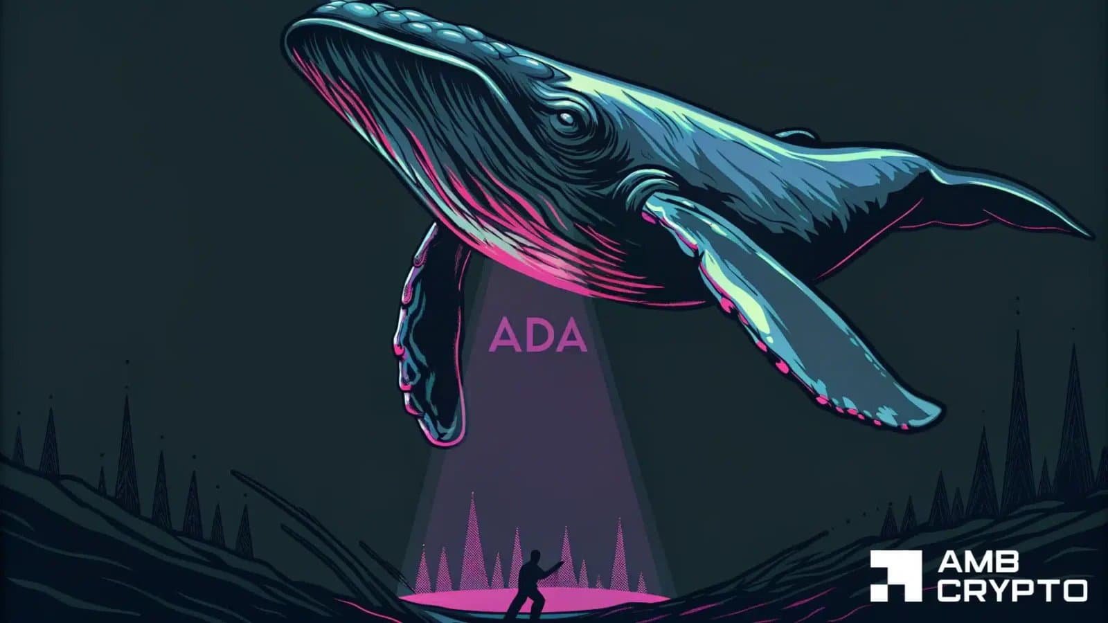 Cardano bounces back to July highs as whale accumulation outpaces retail interest
