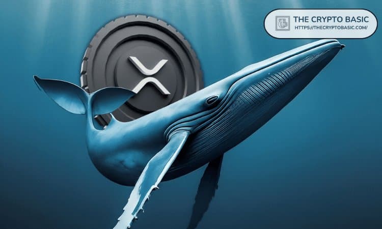 XRP Whales Acquire Over 4 Billion During Downtrend