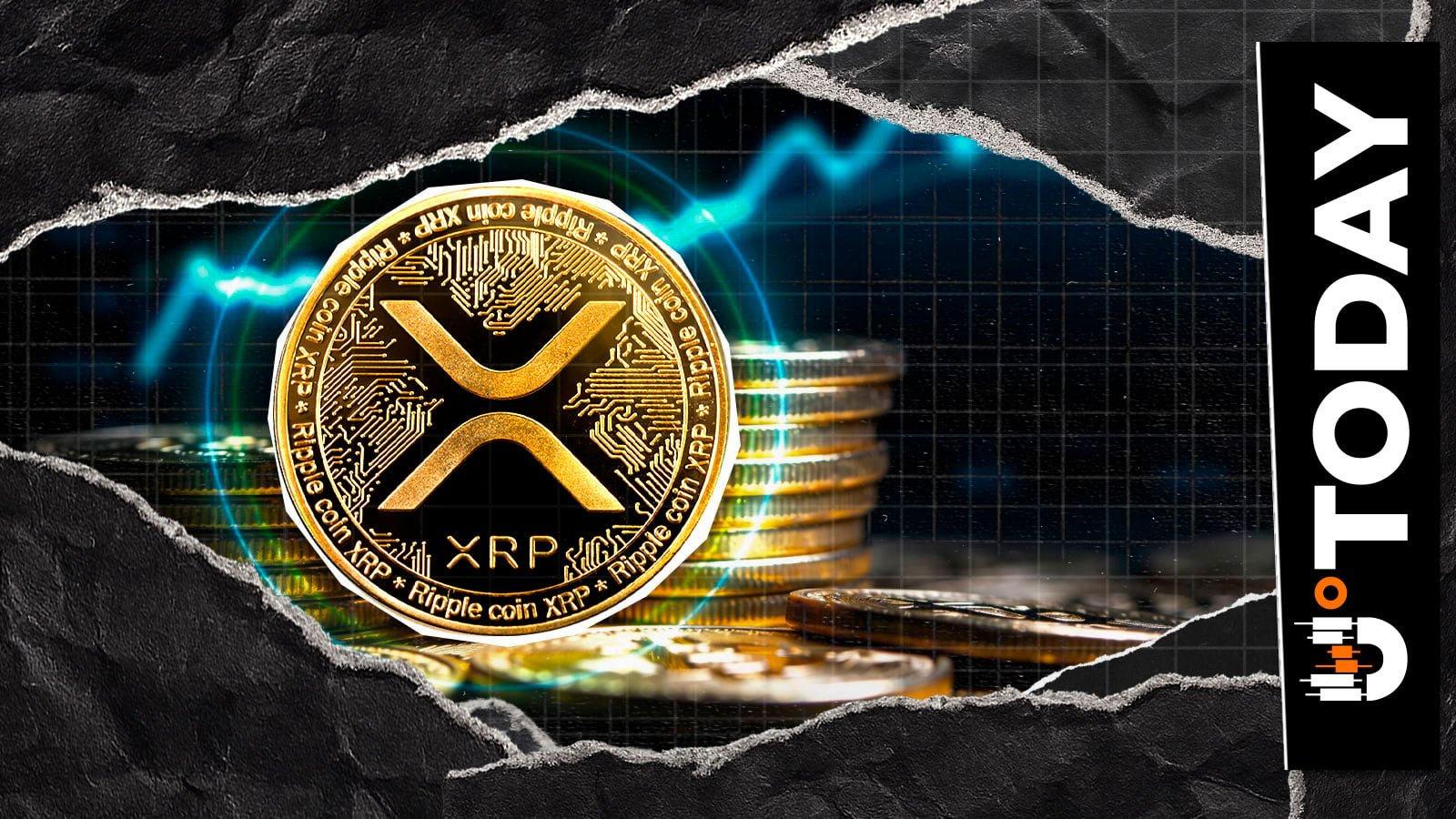 Chainlink's Zach Rynes Questions XRP's Real-World Adoption