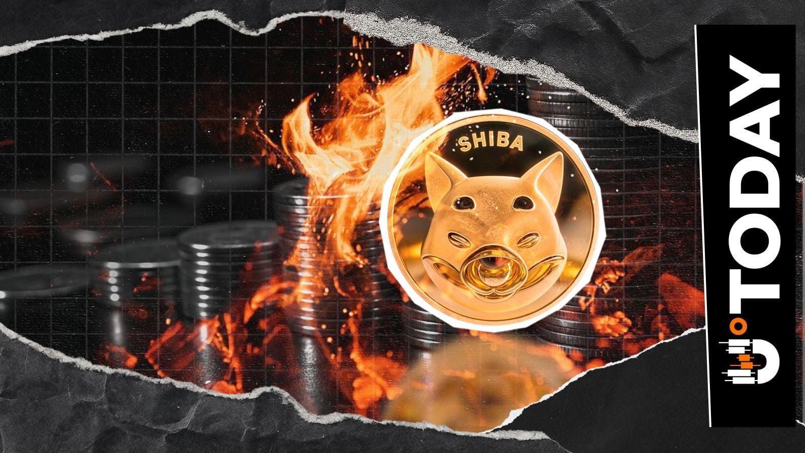 Shiba Inu Experiences Significant Increase in Burn Rate
