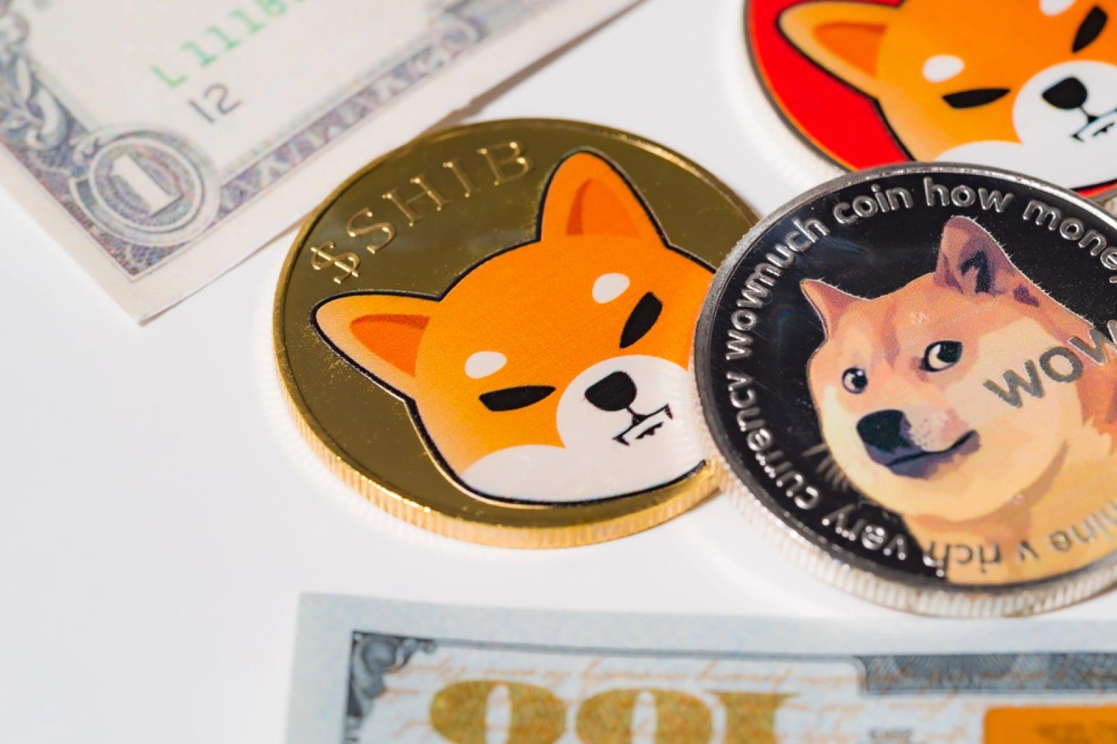 Shiba Inu (SHIB) Sees 128% Increase in Spot Market Activity