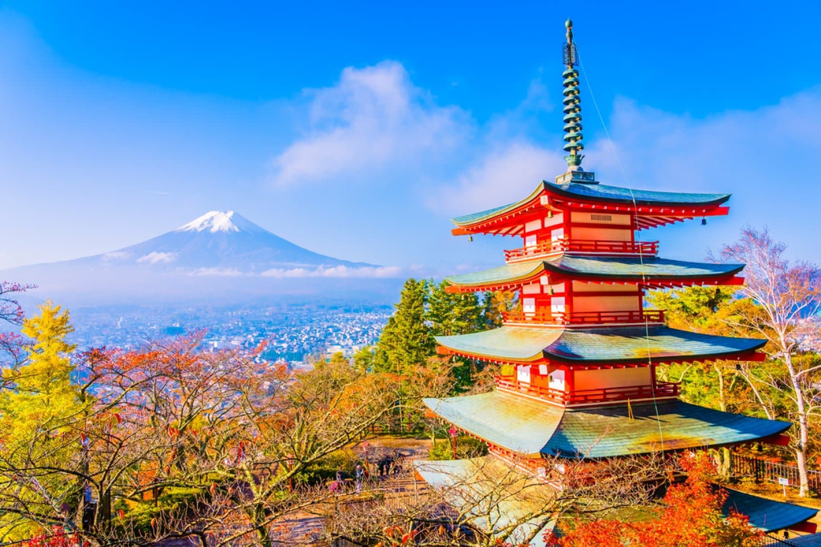 Evernorth Expands Its Operations into the Japanese Market