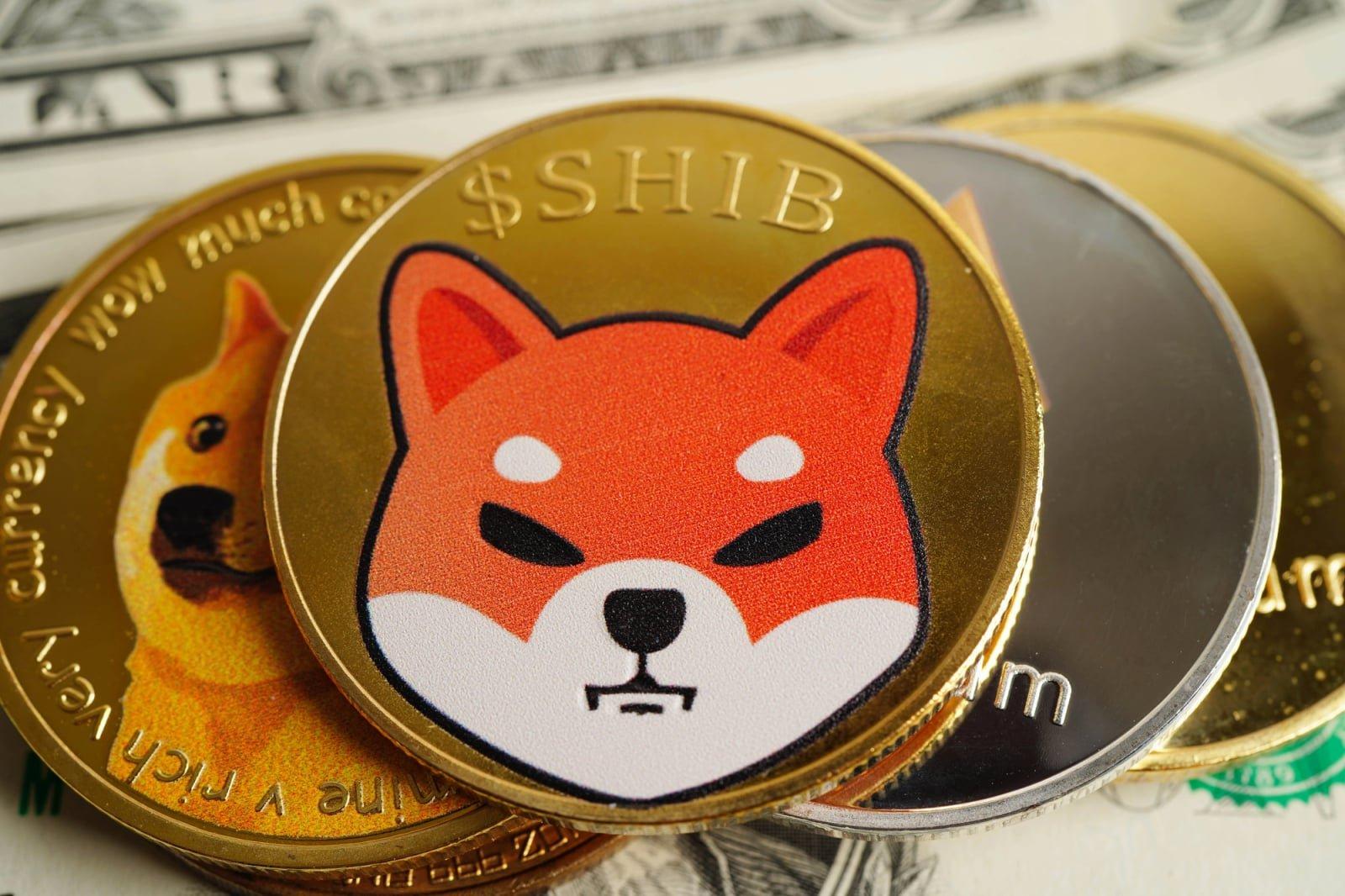 Significant Movement of Shiba Inu Coins from Exchanges Observed