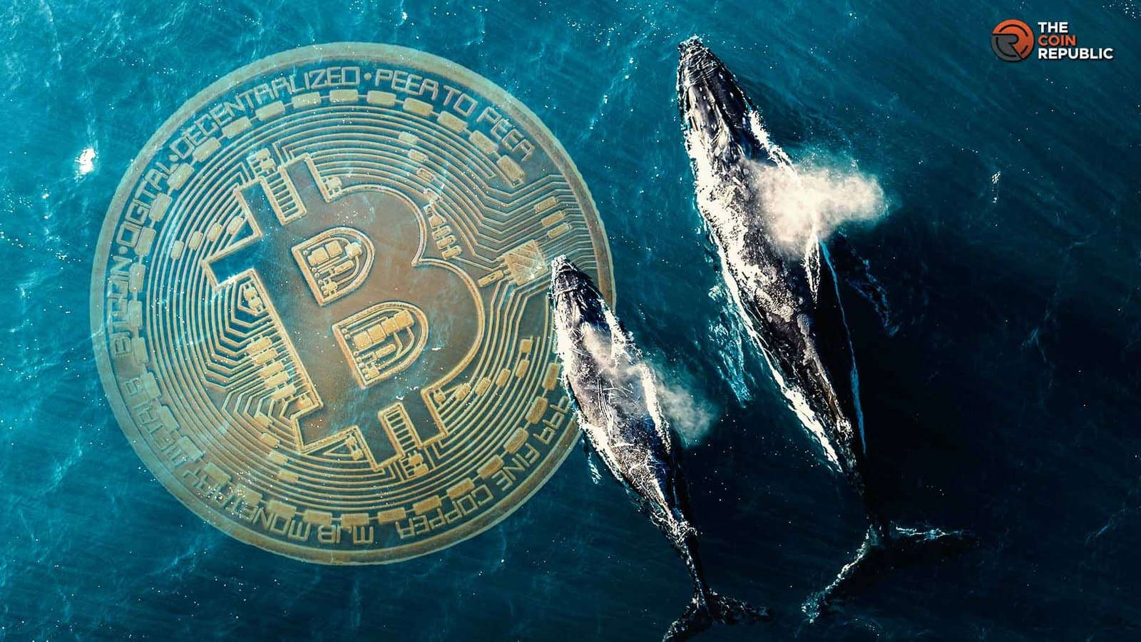 Whales Quietly Loading Up as Bitcoin Tests Recovery Ground