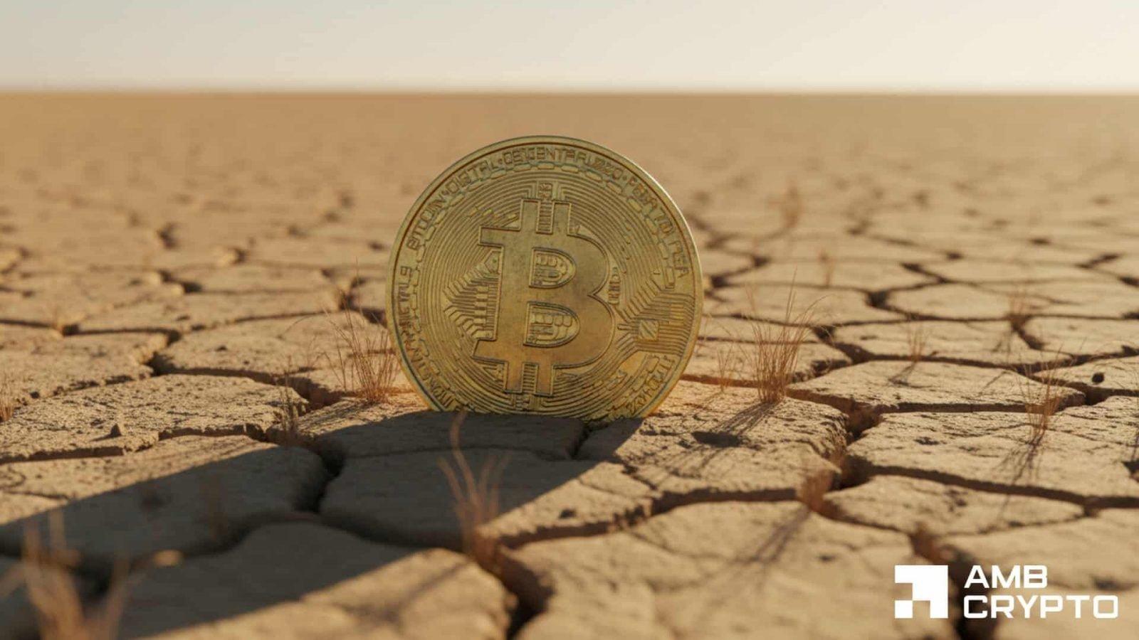 Bitcoin Faces Liquidity Challenges Despite Signs of Market Recovery