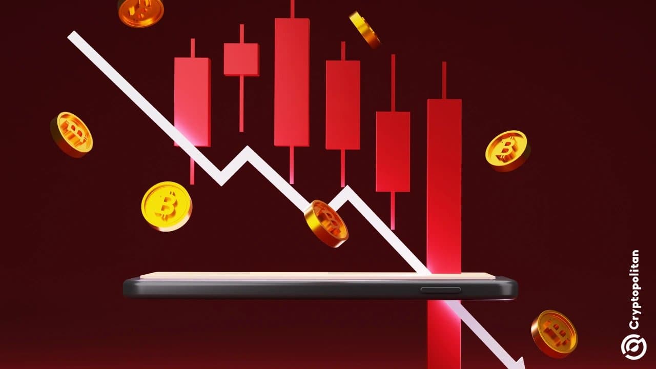 Crypto Project Closures in 2026 Exceed Those from the 2022 Downturn
