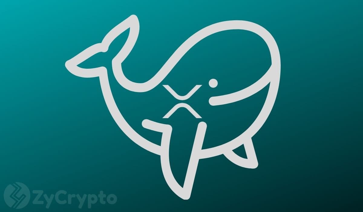 XRP Sees Significant Drop in High-Value Transactions This Week