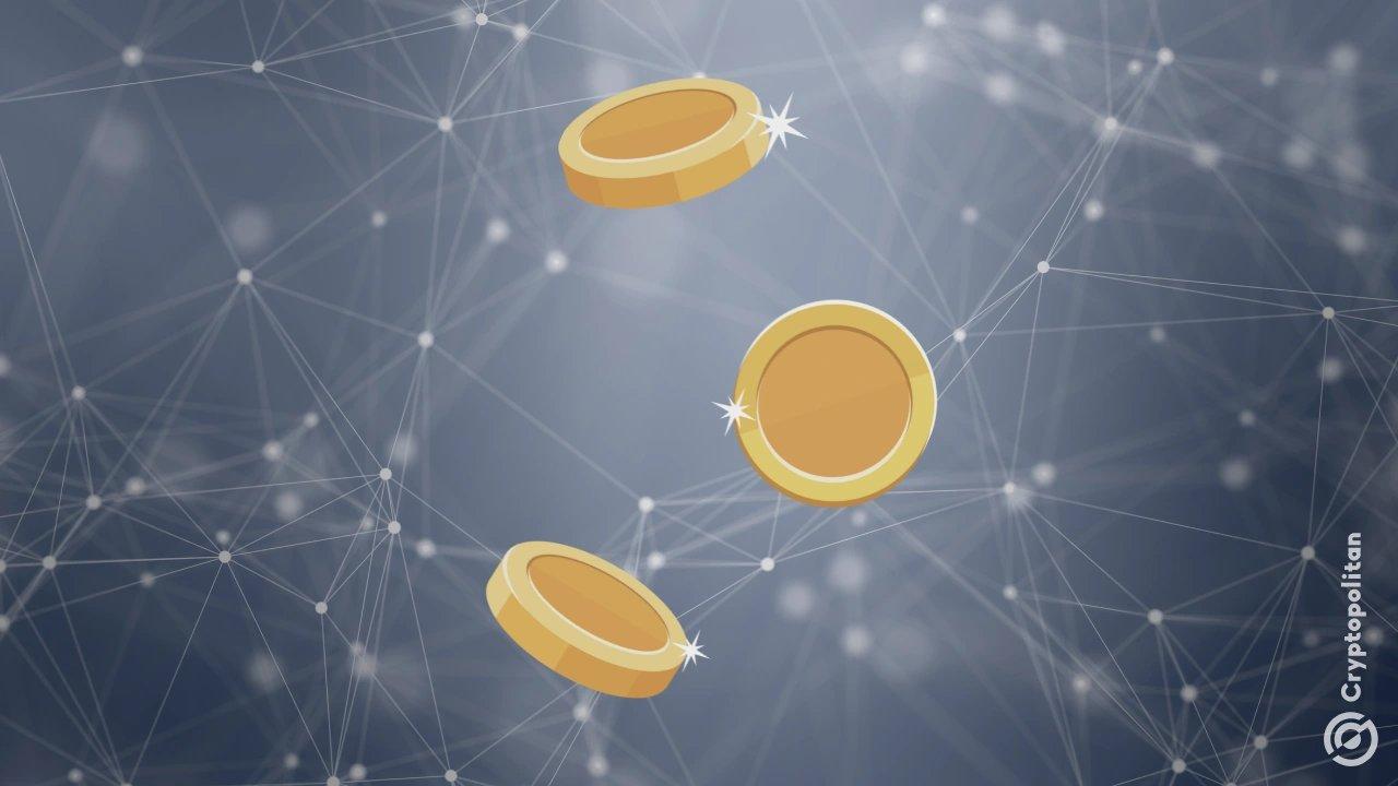 Control of DisclaimerCoin Transferred to ZeroStack's CEO