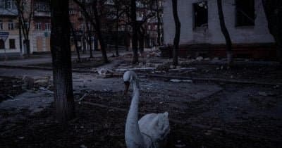 Missile Strike in Radushne Claims Entire Family Amid Rising Tensions in Dnipro Region