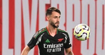 Arsenal and HSV at Odds Over Fabio Vieira Transfer Fee