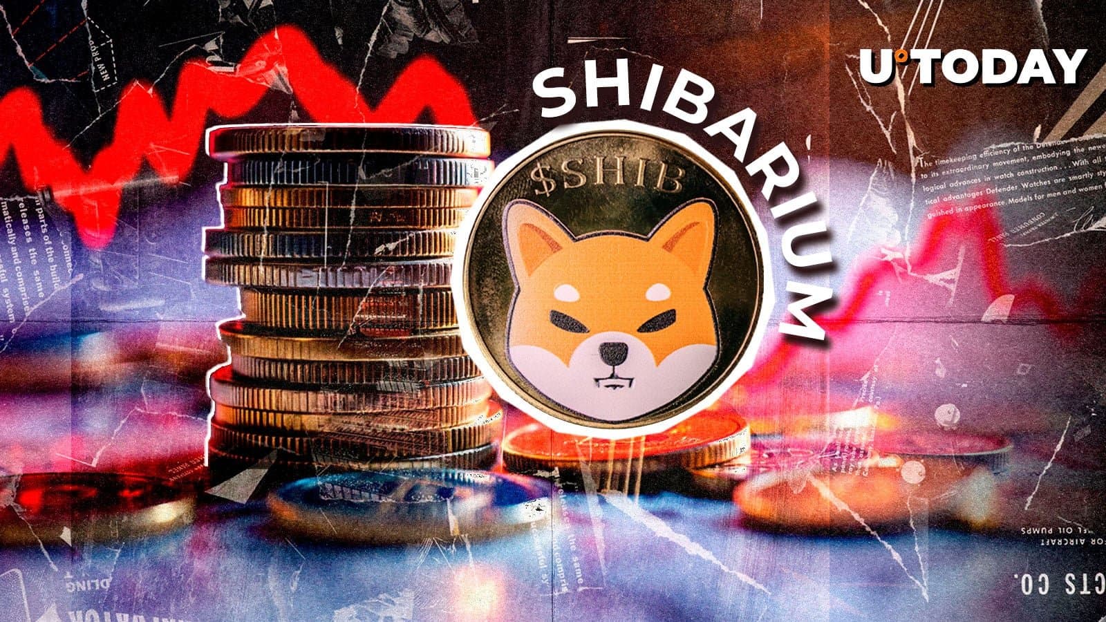 Shibarium Sees 75% Decline in Transaction Activity