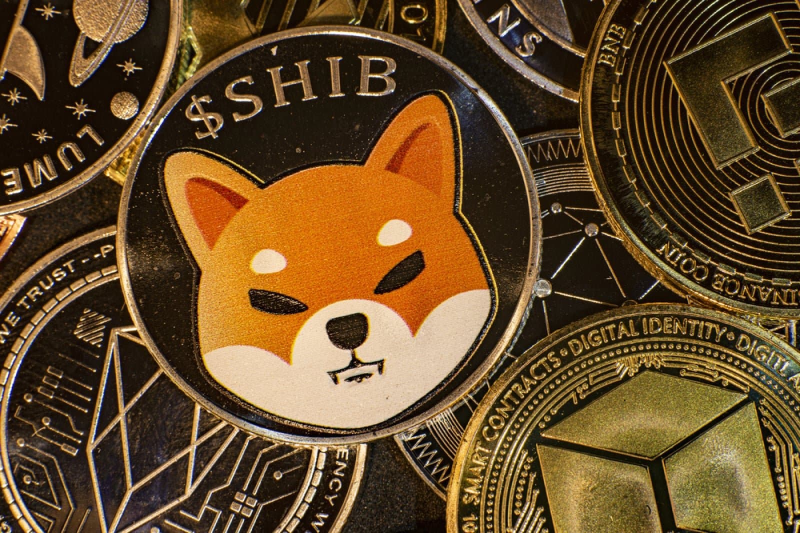 Shiba Inu Exchange Withdrawals Double Amid Rising Market Volatility