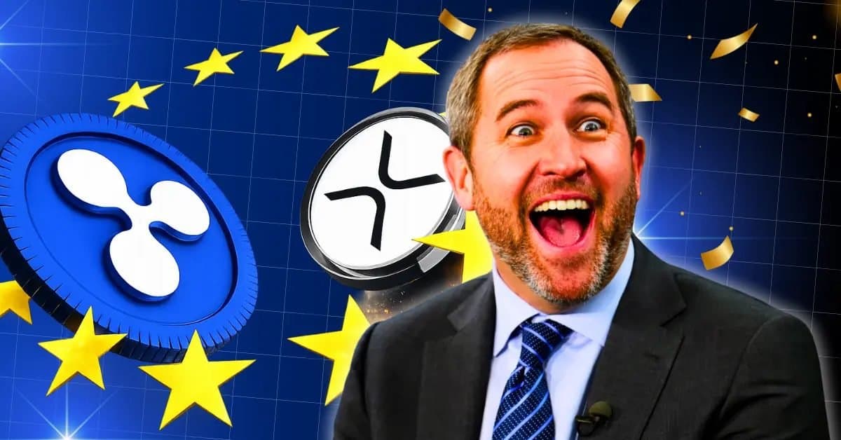 Ripple CEO Highlights Ownership of XRP Amid Control Concerns