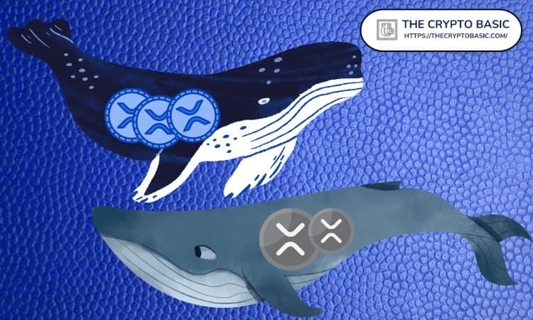 XRP Whale Activity Drops as Major Holders Go Quiet, CryptoQuant Reports