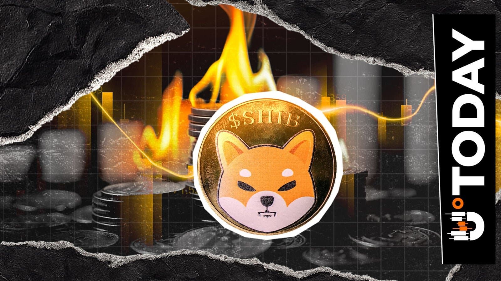 Shiba Inu Burns Plummet to Just $7 in a Day, But Monthly Surge Hits 1,351%