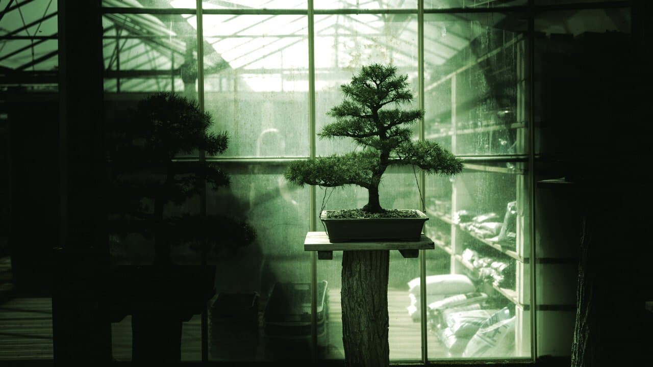 Bonsai AI Model Launches, Compact Enough for Mobile Devices