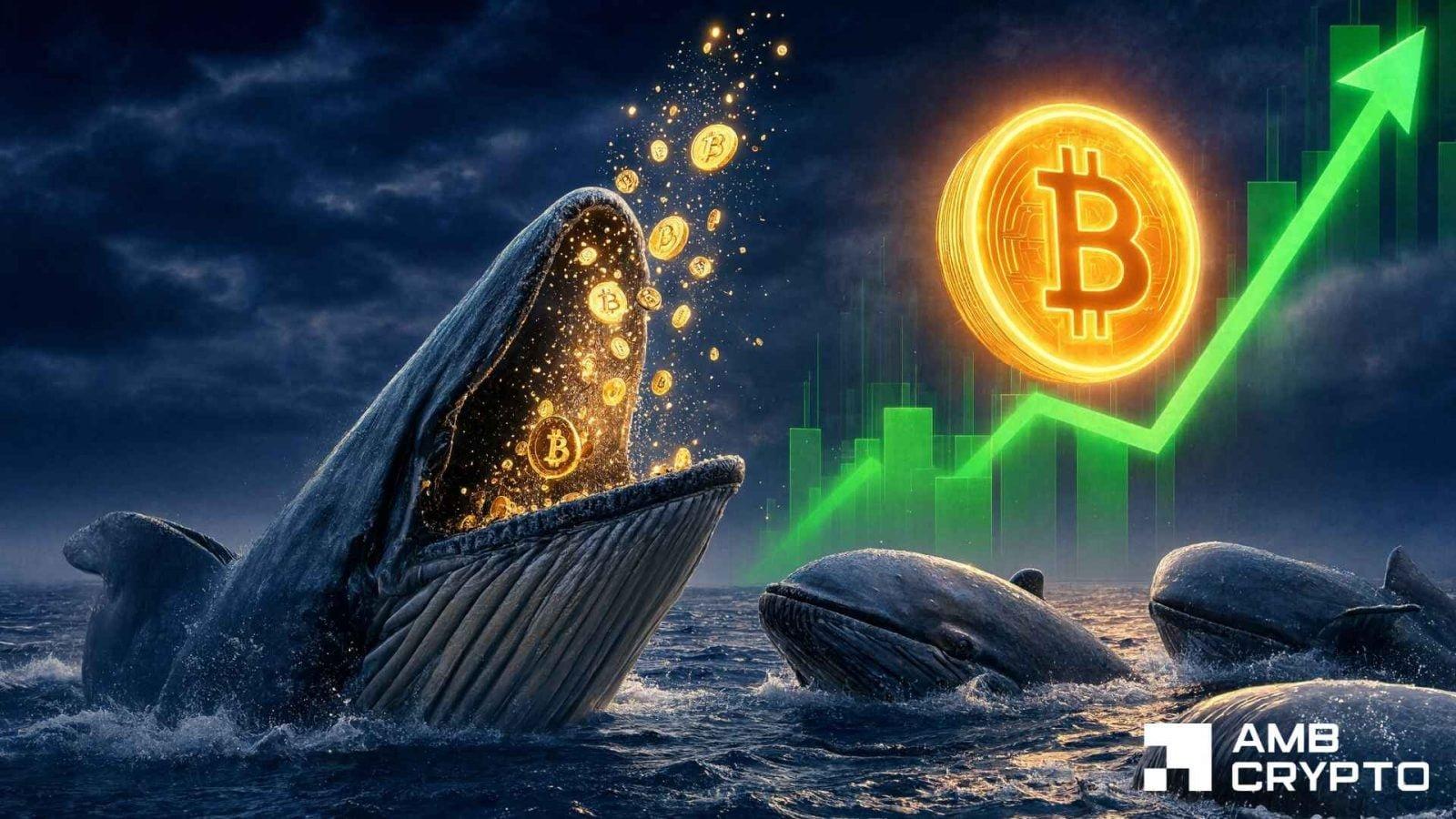 Major Bitcoin Investors Confident Despite Resistance at $64,000