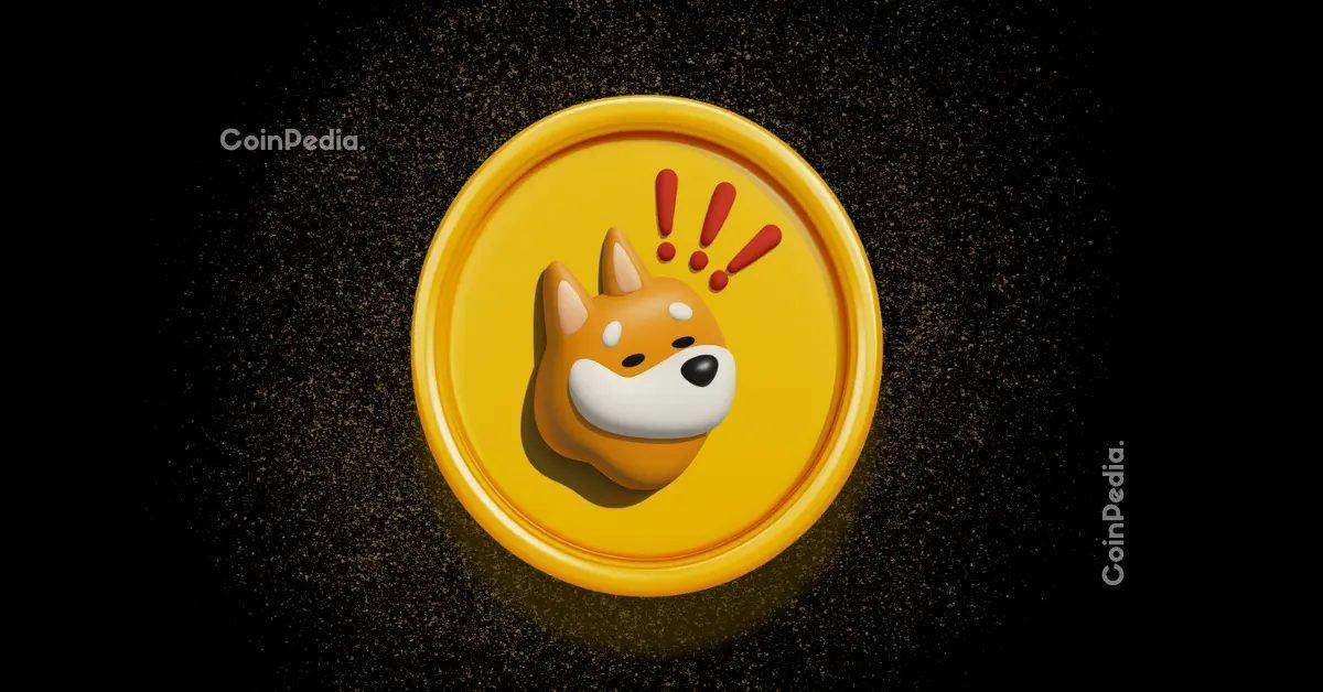 Significant Drop in BONK Price after $20 Million Treasury Breach