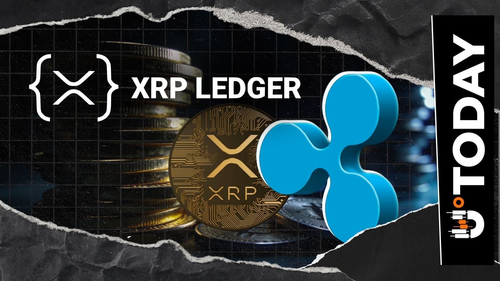 RippleX Developer Explains Why XRP Ledger Features Aren't Just About Transaction Volume