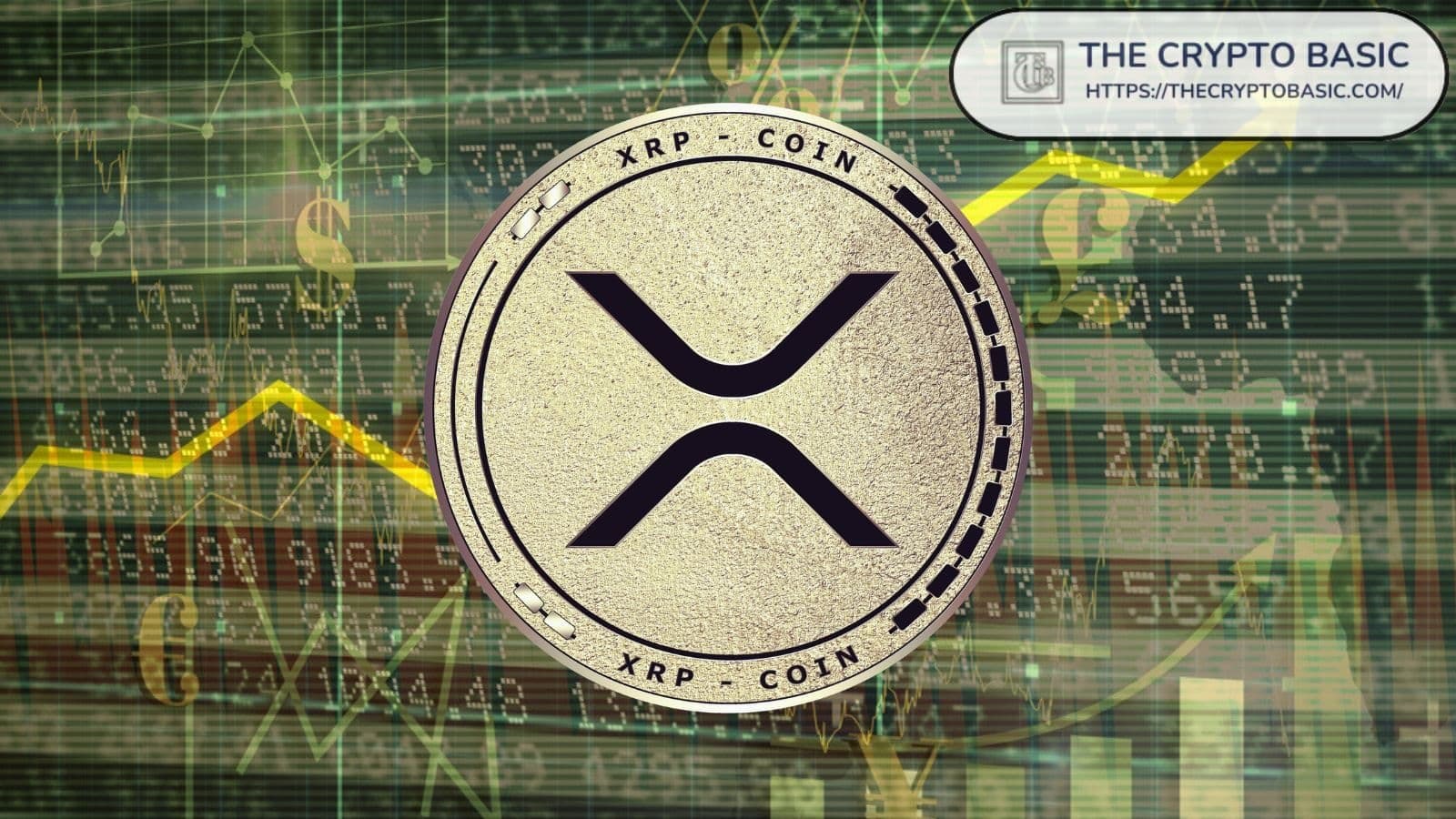 Crypto Expert Predicts XRP Could Drop to Negative $5 Over Time