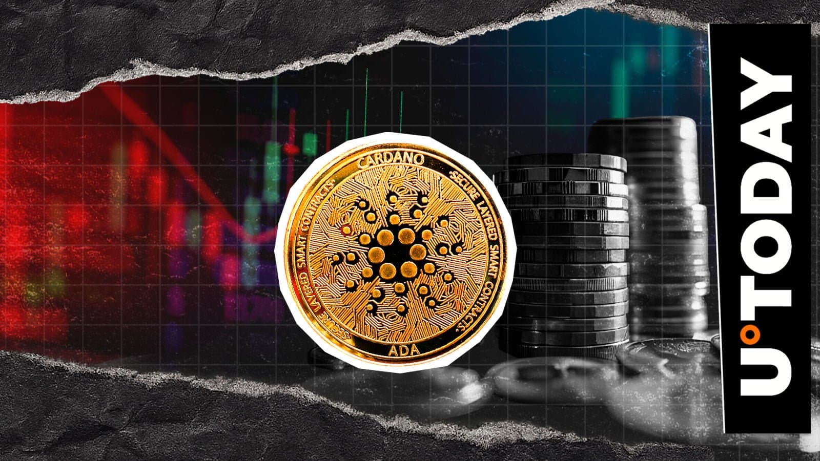 Cardano Spot Market Sees Massive Outflow Surge Amid Price Drop