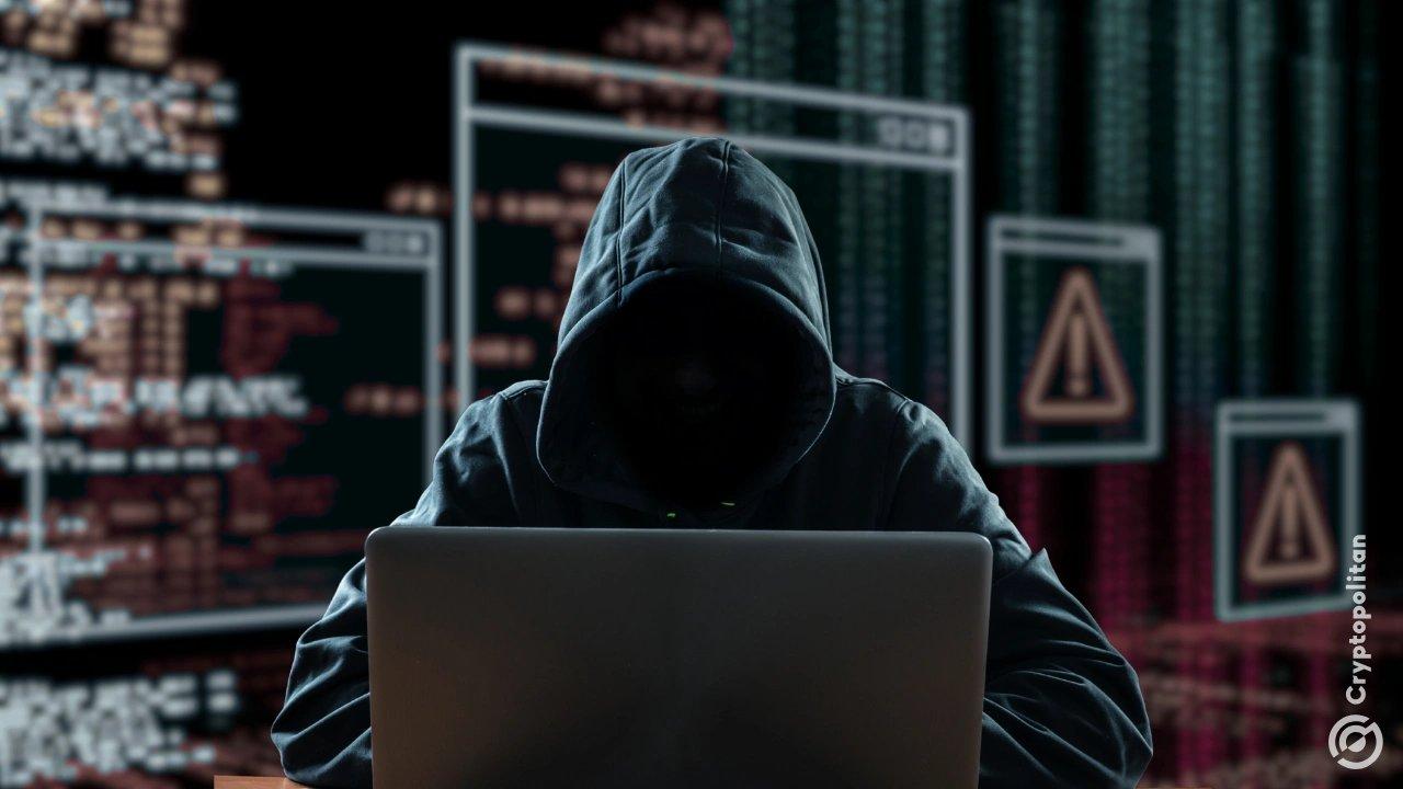 Hack Results in $6 Million Loss for Summer.fi's USDC Vault