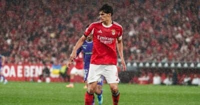 Bournemouth Nears Deal for Benfica Defender Antonio Silva