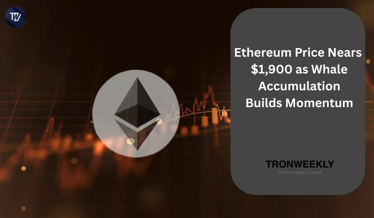 Ethereum Approaches Key $1,900 Resistance Amid Whale Accumulation