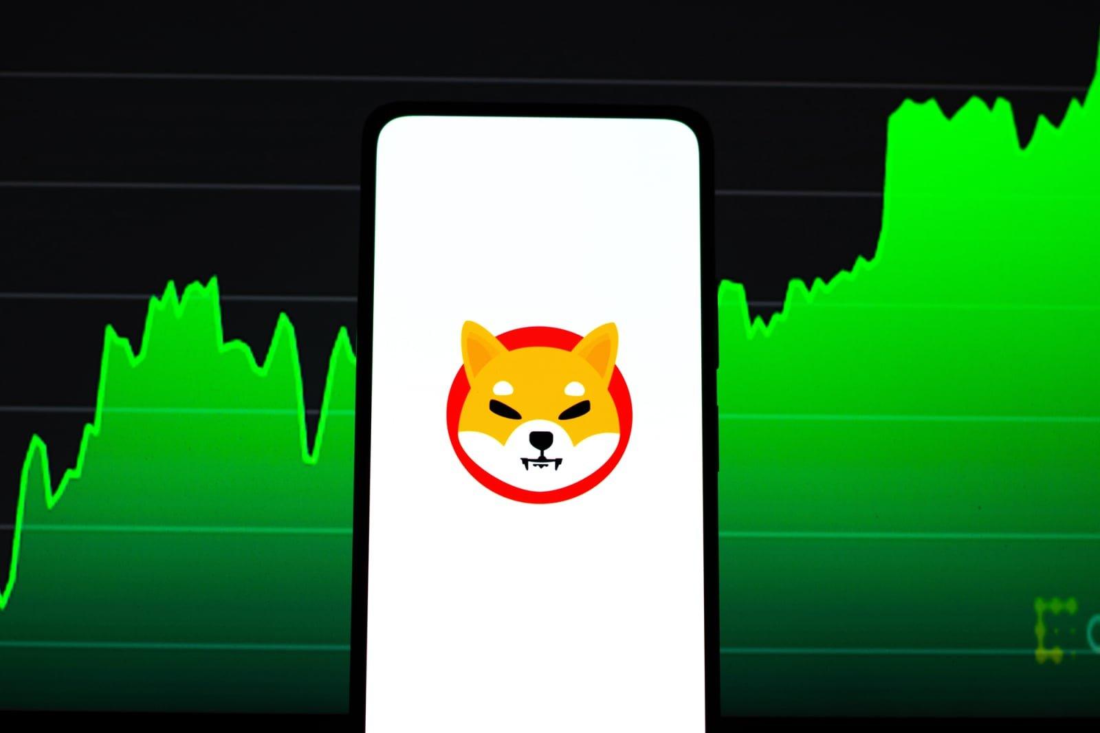 Significant Decline in Shiba Inu On-Chain Transactions