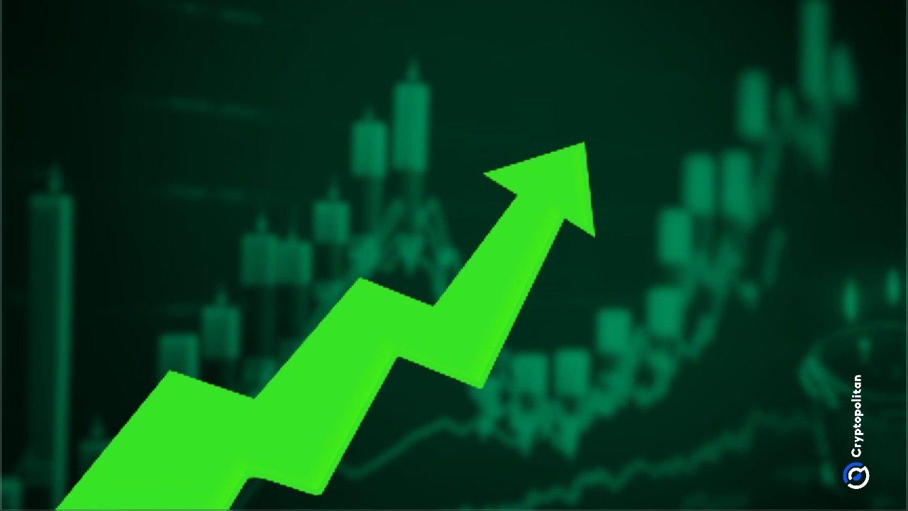 CASHCAT experiences significant surge amid renewed interest in meme coins