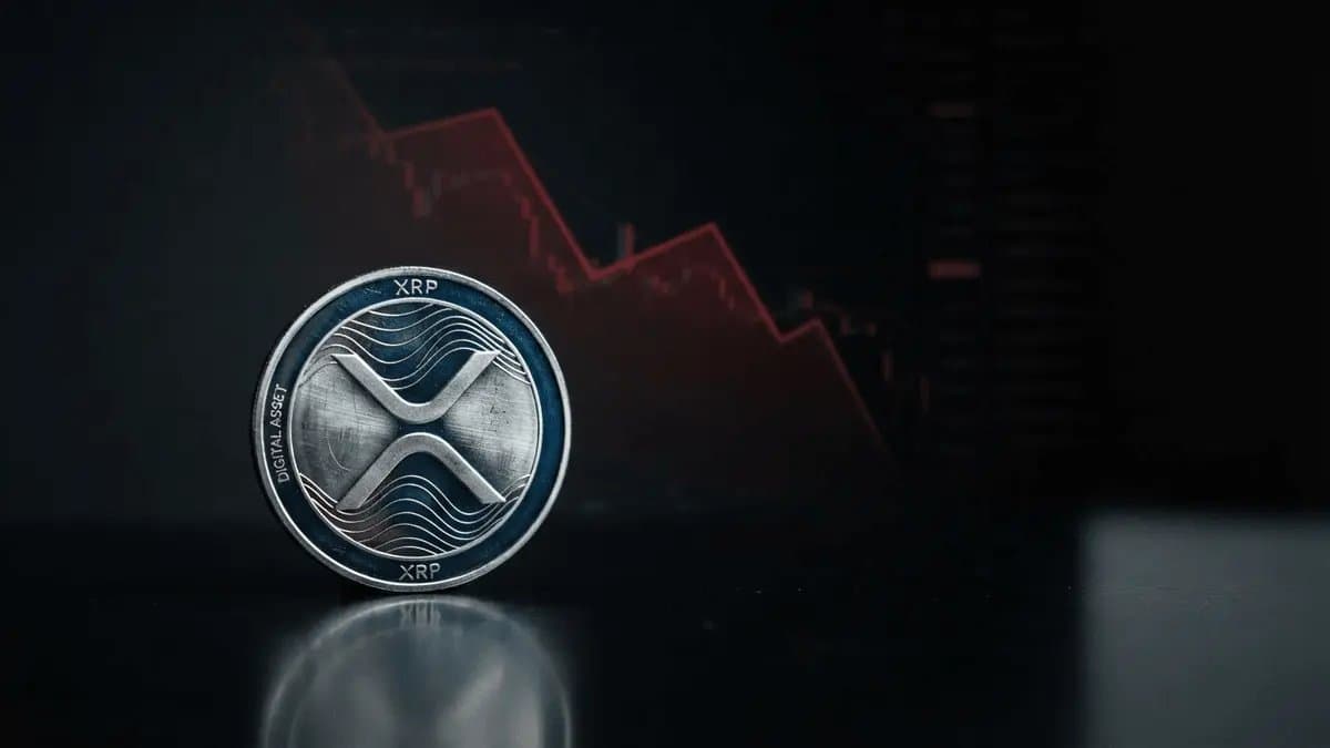 XRP ETF Inflows Streak Ends Amid Price Concerns