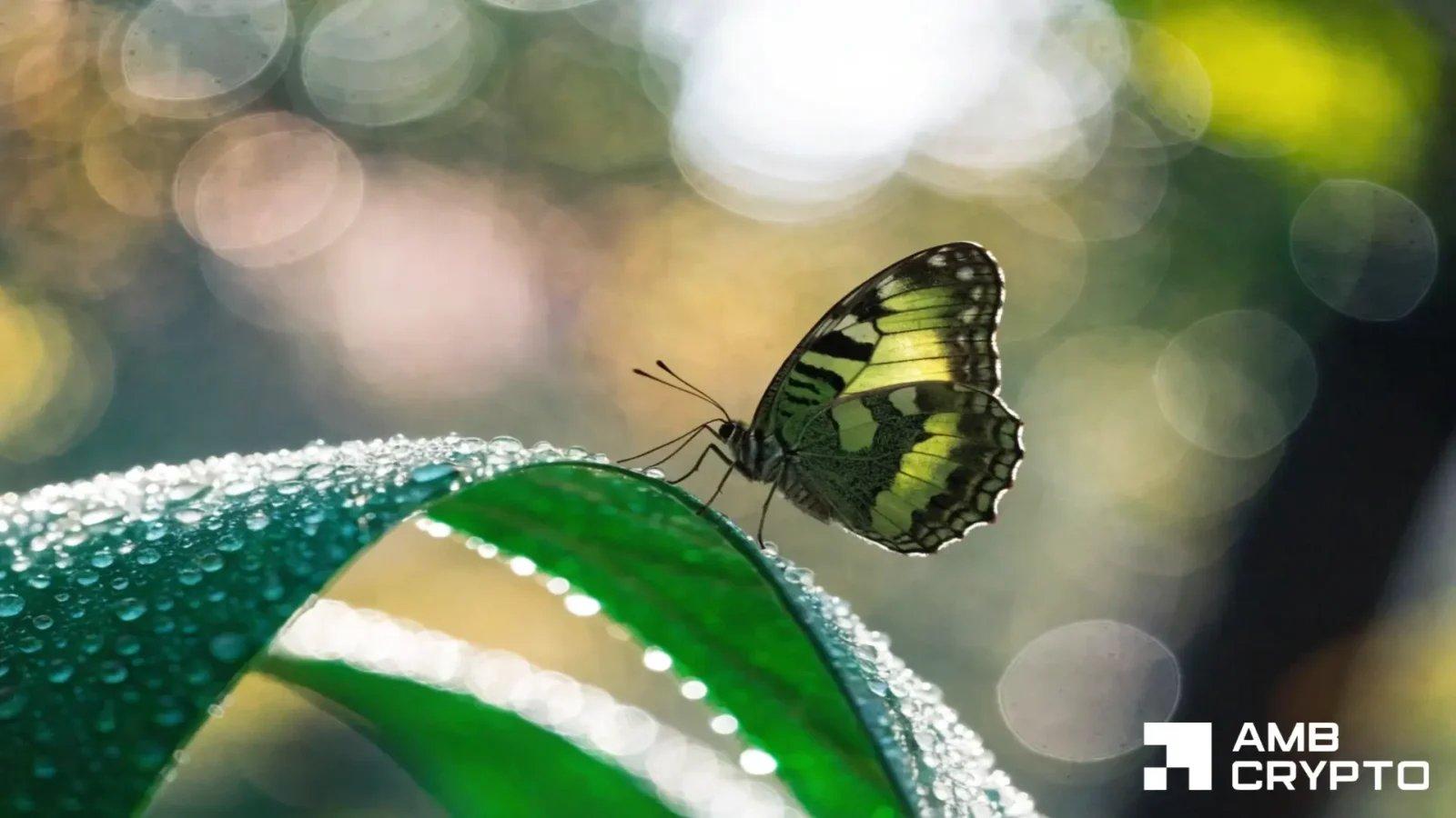 Morpho Launches on Solana While Eyeing Price Resistance Levels