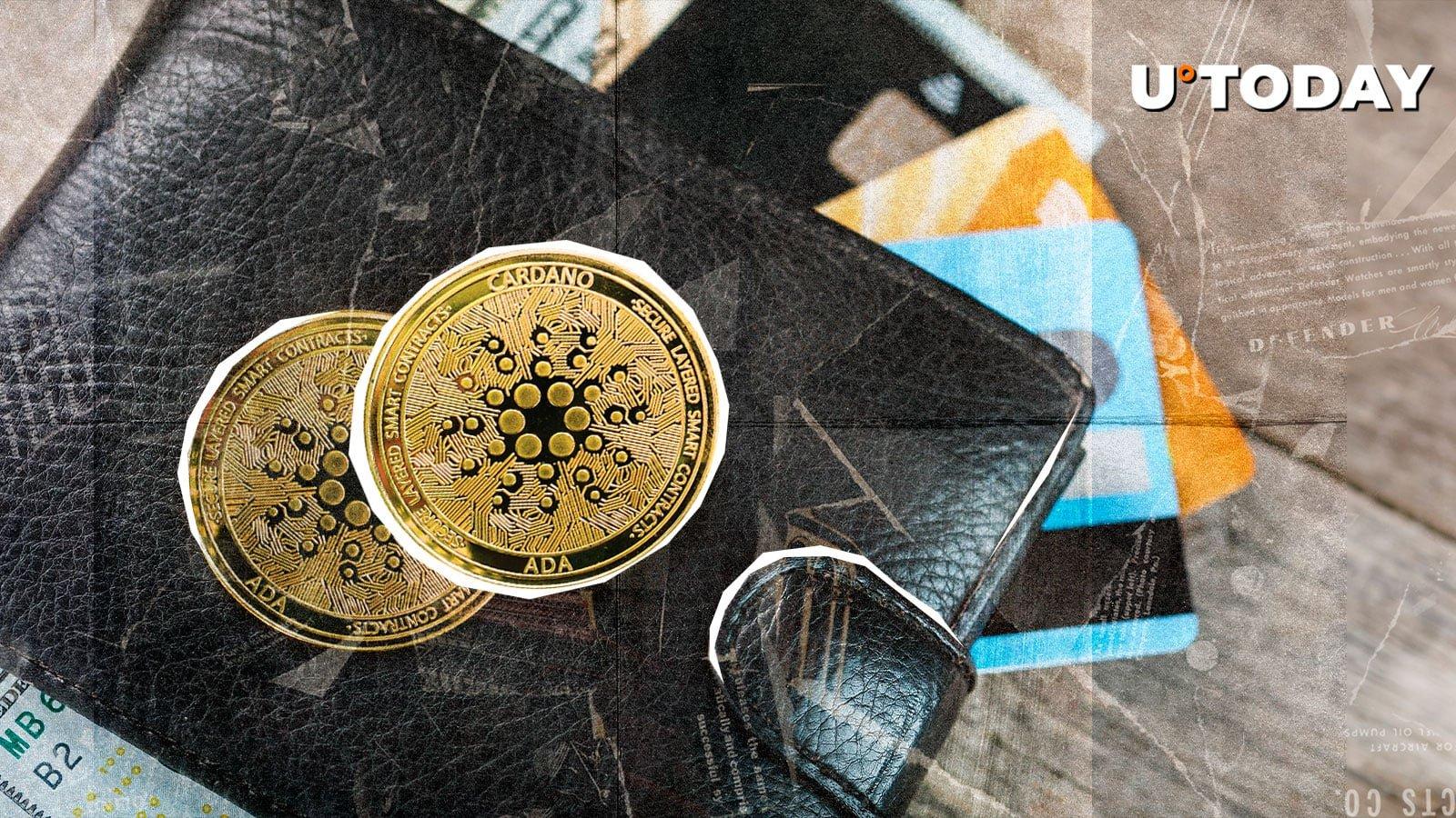 Cardano Experiences 32% Growth as Wallet Count Surges