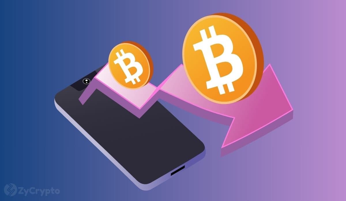 BlackRock CEO Sees Improved Bitcoin Stability After use Reduction