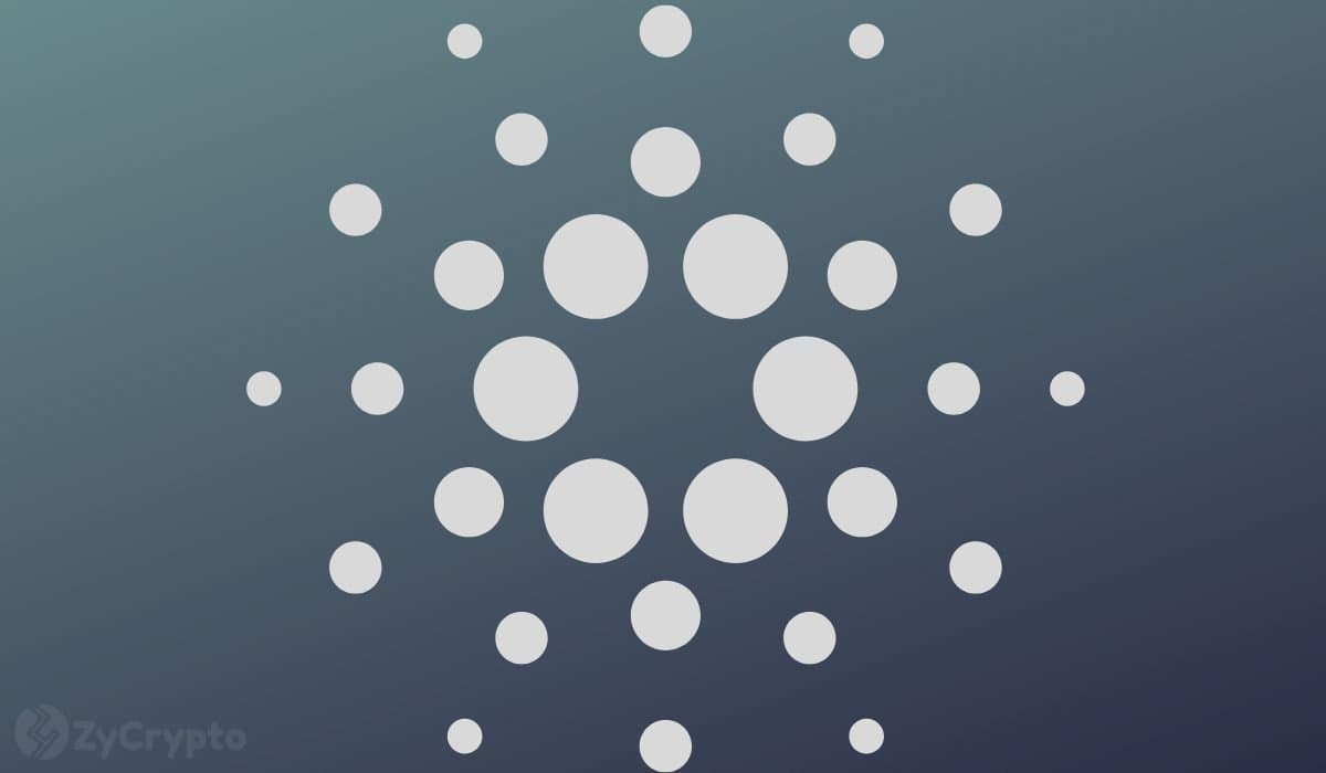 Cardano Whales Load Up 240 Million ADA as Van Rossem Upgrade Rolls Out