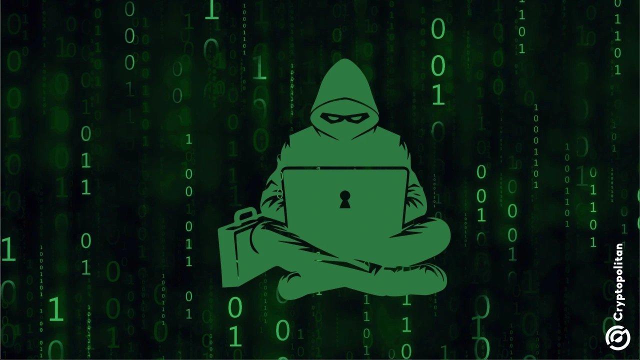 BonkDAO Suffers $20 Million Loss Due to Governance Attack
