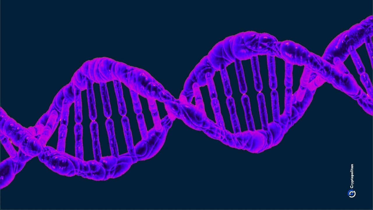 Breakthrough Enzyme CMLase Developed to Reverse Age-Related Protein Damage