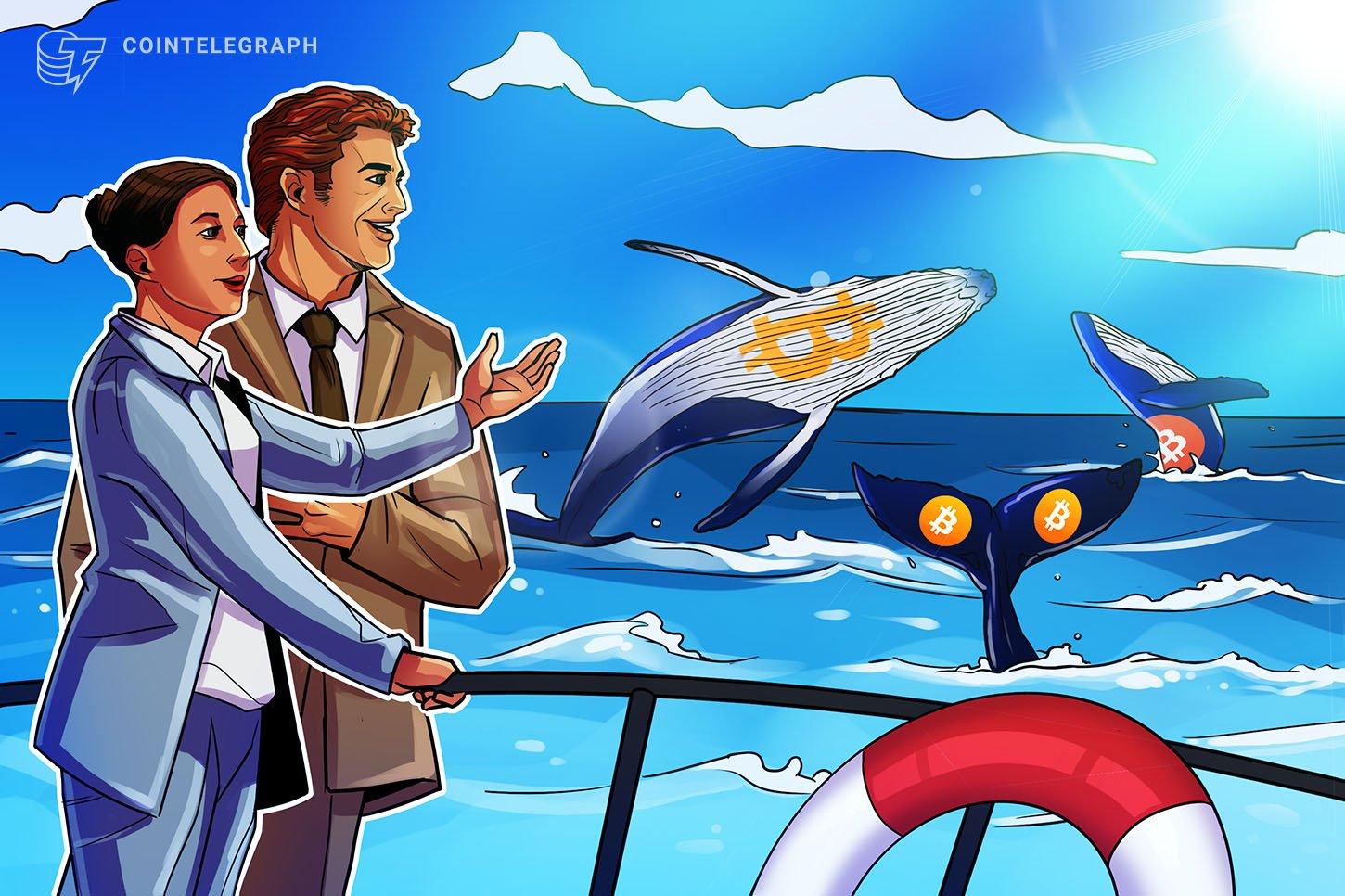 Bitcoin Price Surges to $64K Driven by Whales and Coinbase Premium