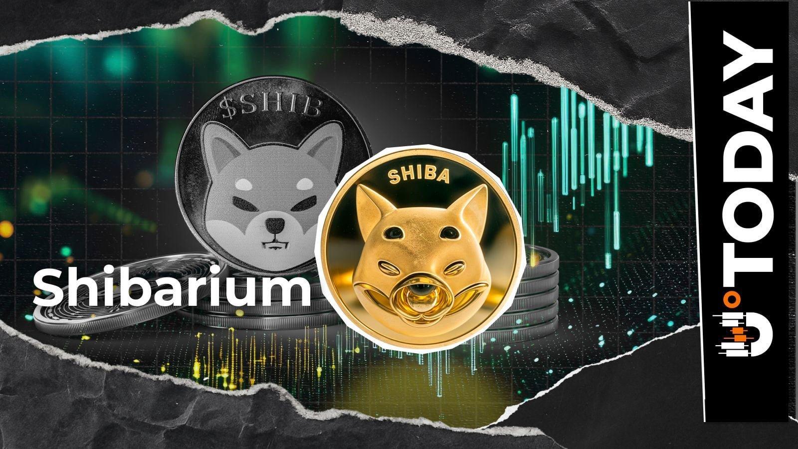 Shiba Inu Community Warned About Decommissioned Domains