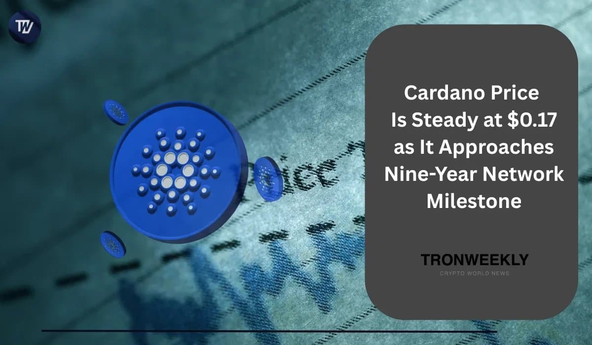Cardano Holds Steady Near $0.17 as It Nears Nine Years of Operation
