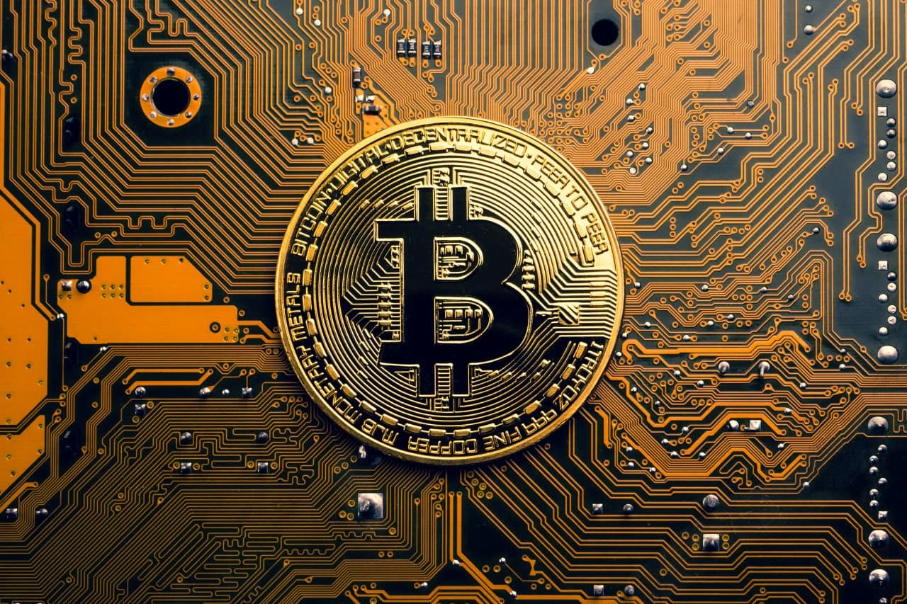 Long-Term Bitcoin Holders Face Significant Losses Amid Market Downturn